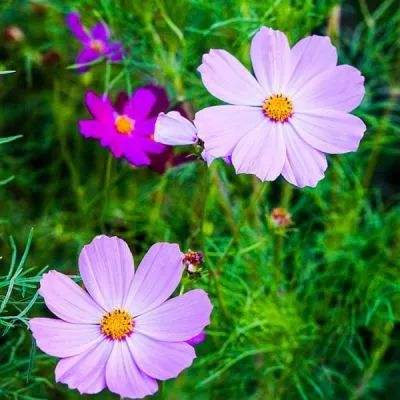 A股首例：合计被罚1300万元！一个字罚款4万！